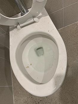 Before-Toilet Before - After